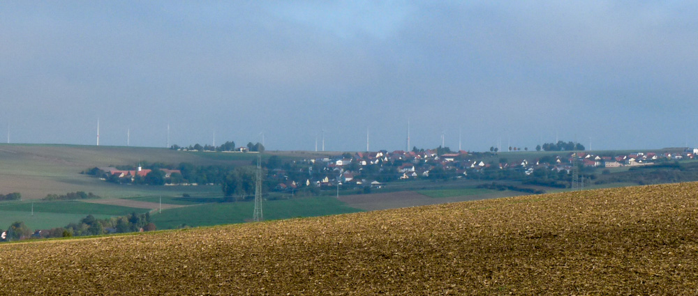 20171001 NF_Pfalzwanderung_Sabine-26.jpg