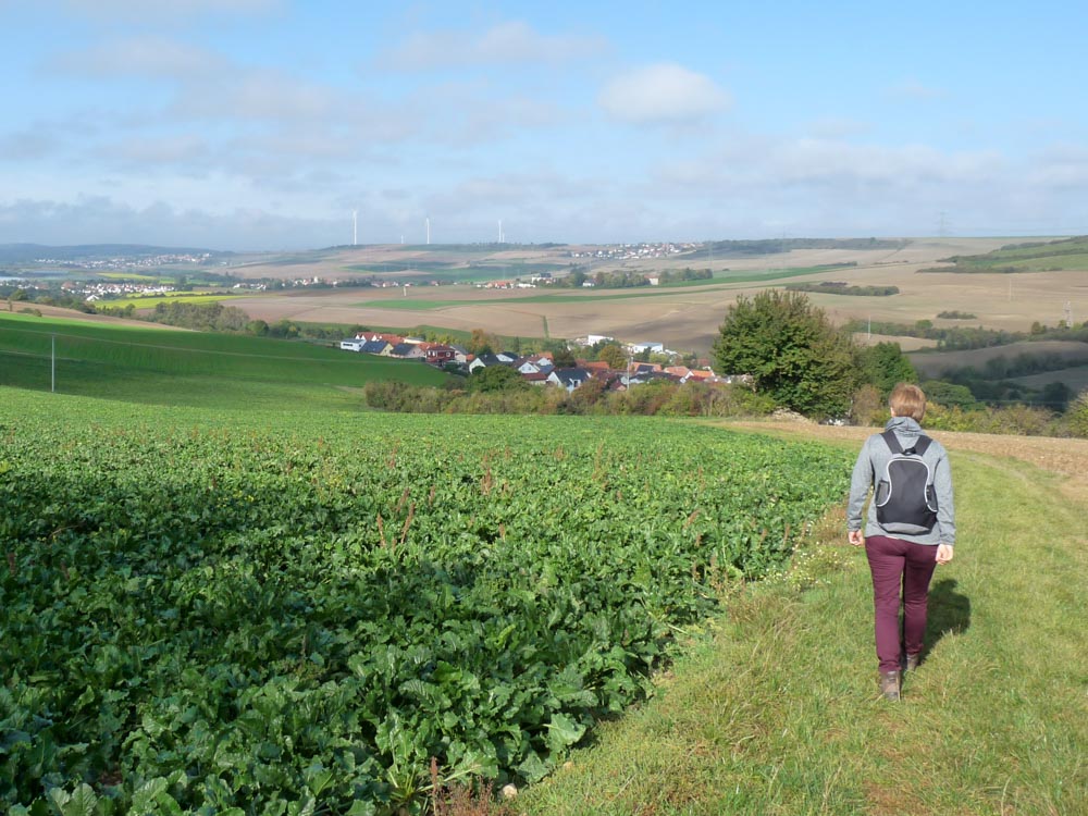 20171001 NF_Pfalzwanderung_Sabine-68.jpg