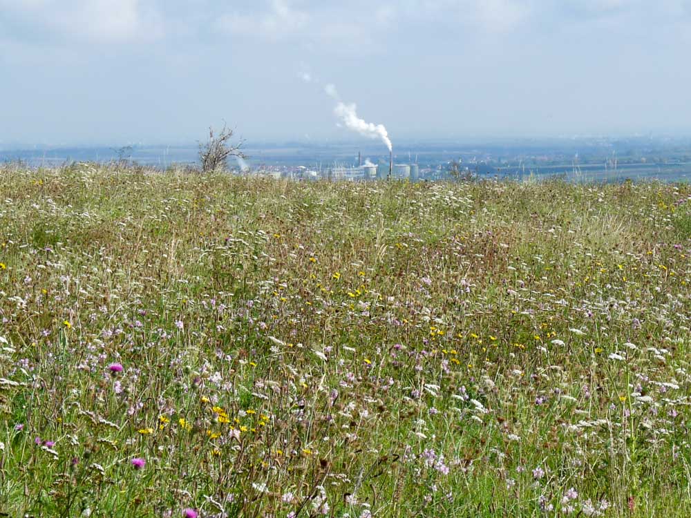 20171001 NF_Pfalzwanderung_Sabine-103.jpg