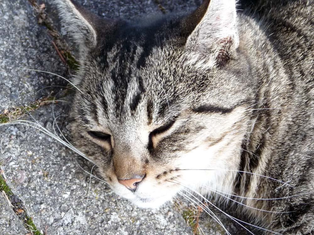 20171001 NF_Pfalzwanderung_Sabine-145.jpg