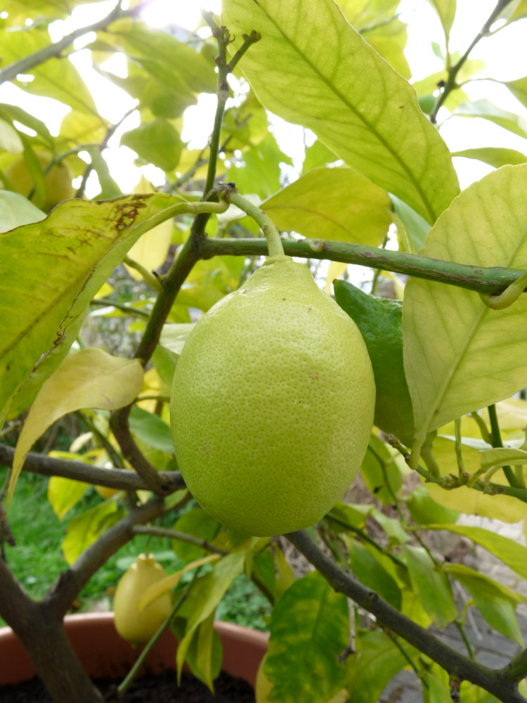 20171001 NF_Pfalzwanderung_Sabine-153.jpg