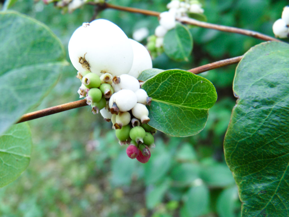 20171001 NF_Pfalzwanderung_Sabine-170.jpg