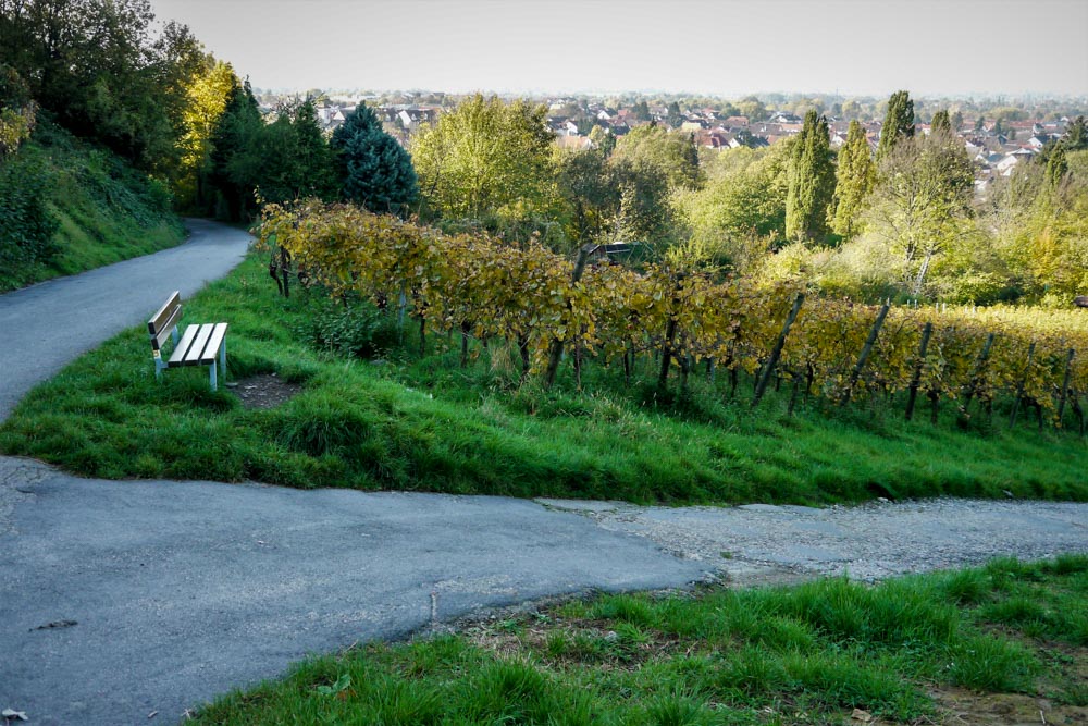 20171101 NF_Letzte Einkehr_Anke-3.jpg