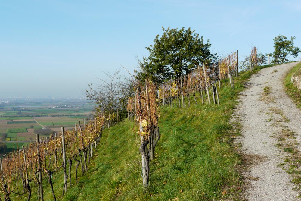 20171101 NF_Letzte Einkehr_Anke-14.jpg