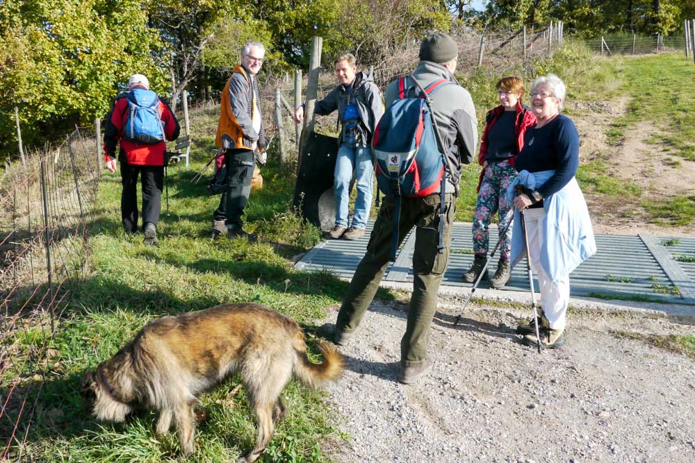 20171101 NF_Letzte Einkehr_Anke-17.jpg