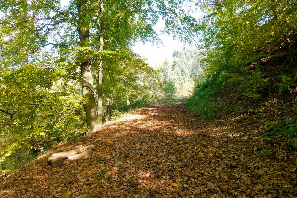 20171101 NF_Letzte Einkehr_Anke-24.jpg