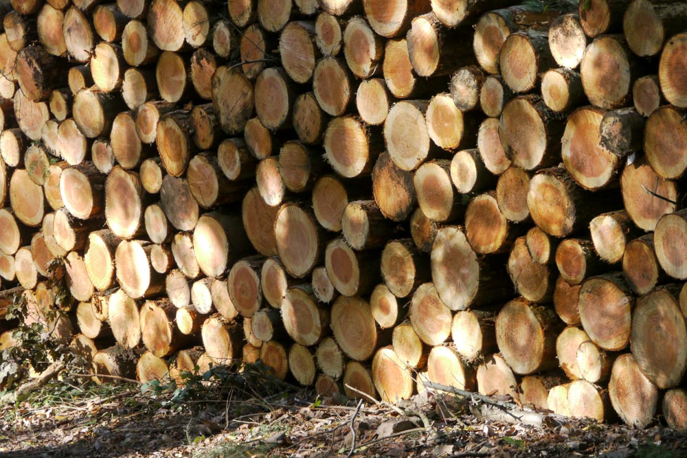 20171101 NF_Letzte Einkehr_Anke-26.jpg