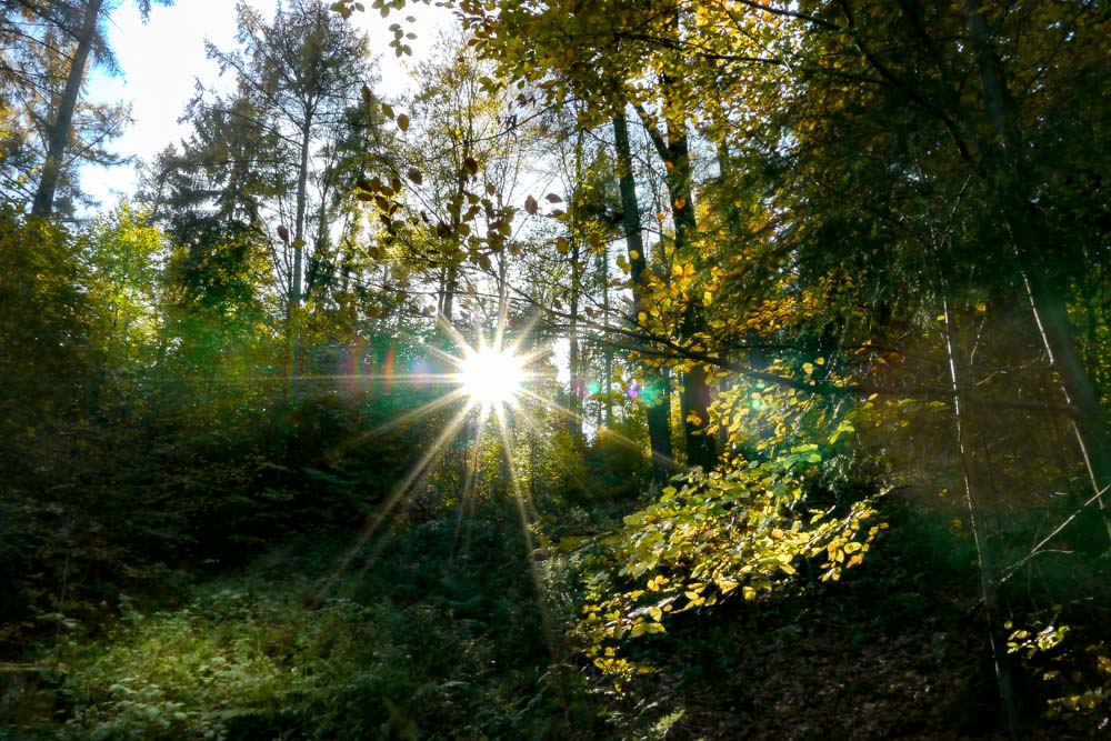 20171101 NF_Letzte Einkehr_Anke-44.jpg
