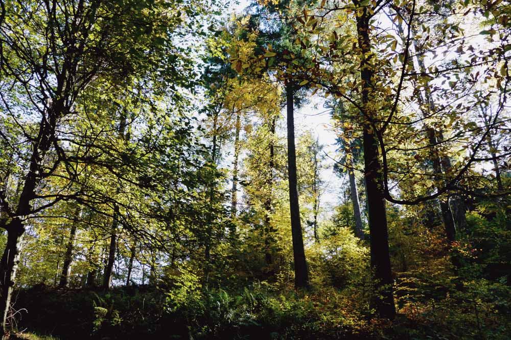 20171101 NF_Letzte Einkehr_Anke-45-PS_Edit.jpg