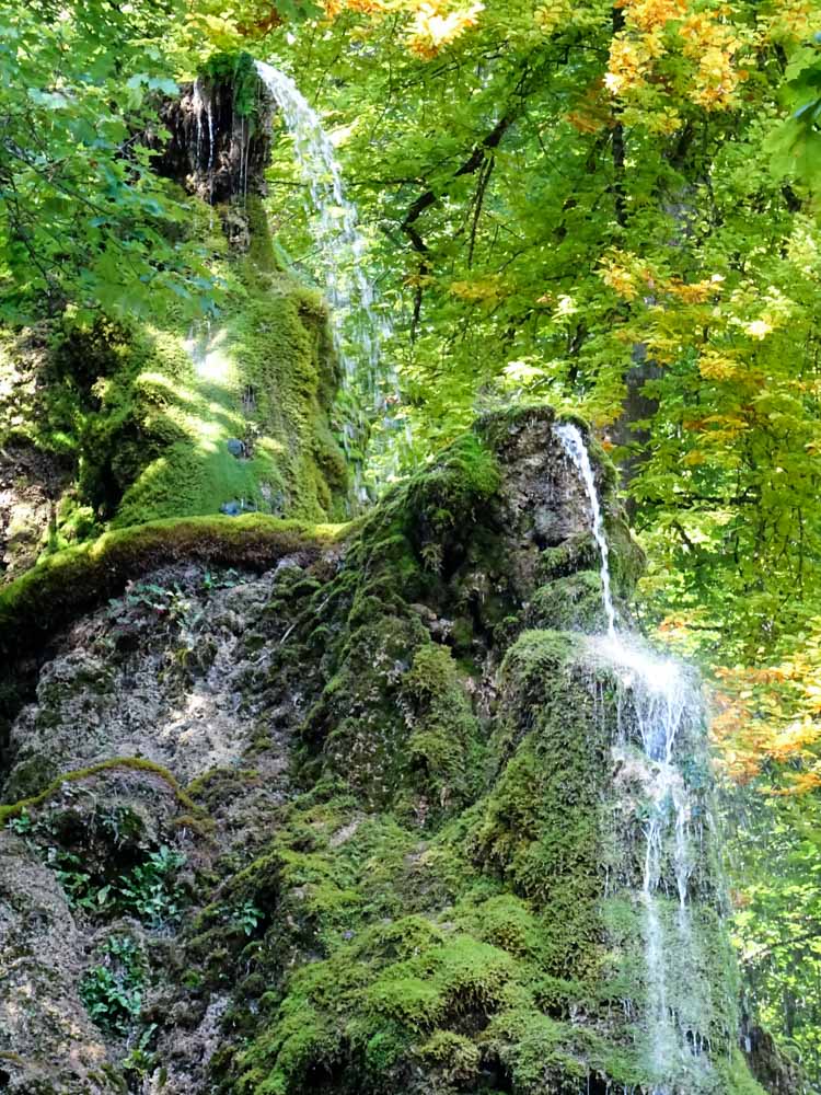 20170922 NF_Bad Urach_Sascha-47.jpg