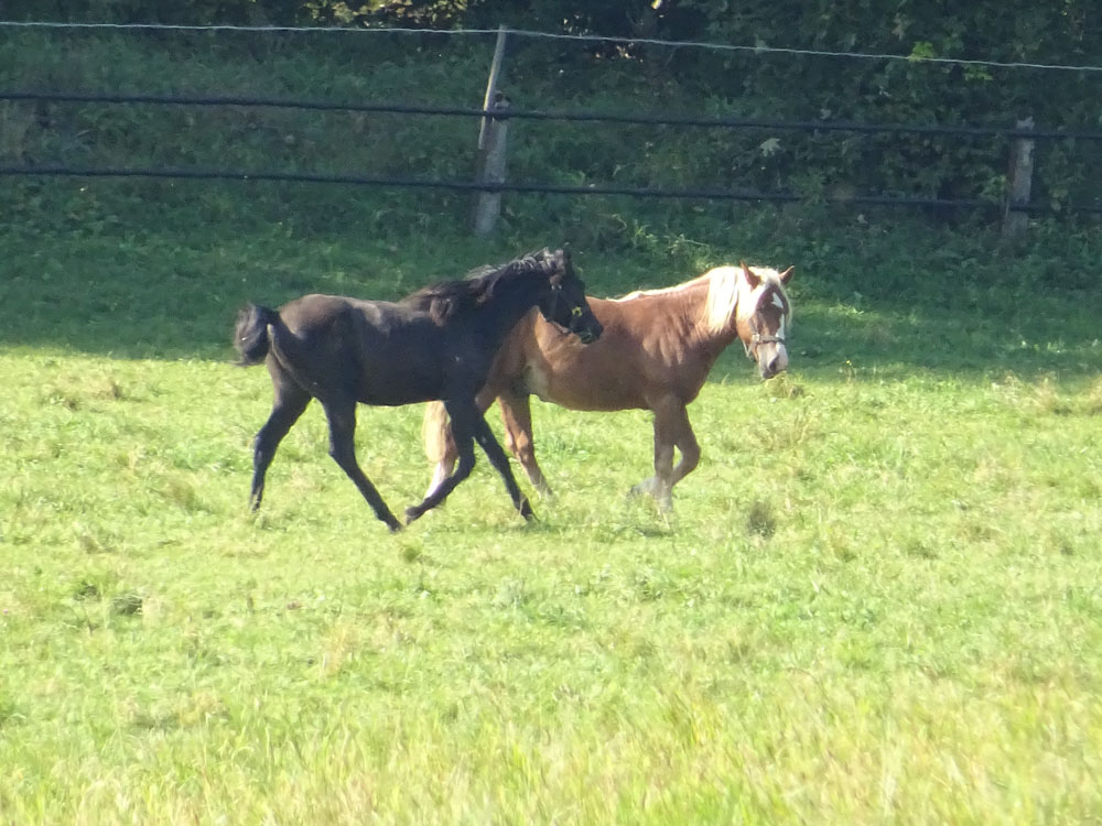 20170922 NF_Bad Urach_Sascha-89.jpg