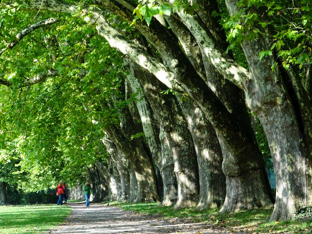 20170922 NF_Bad Urach_Sascha-102.jpg