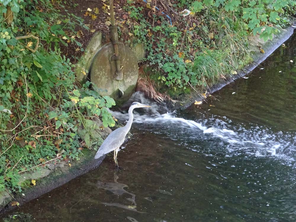 20170922 NF_Bad Urach_Sascha-107.jpg