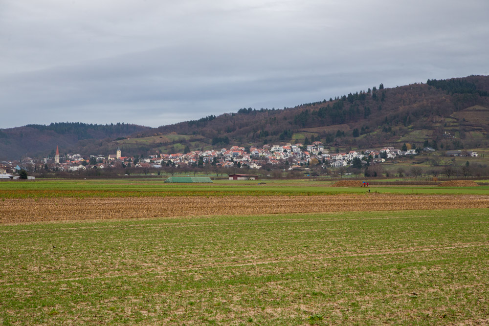 20180106 NF-Dreikönigswanderung_Boßeln_Karl-94.jpg