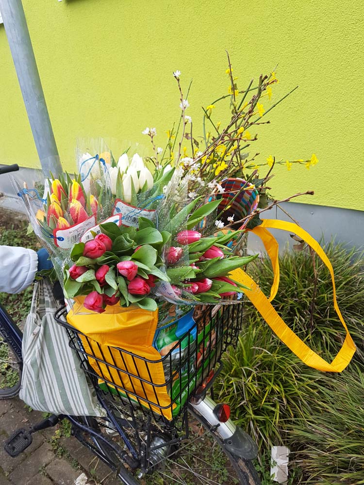 20180114 NF_Winterfeier_Sabine-1.jpg
