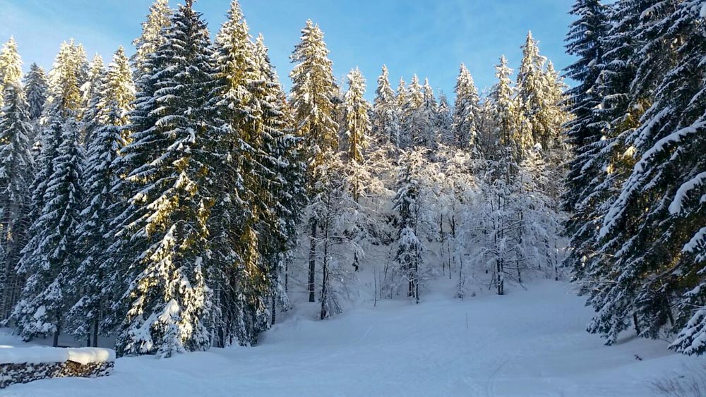 20180210 NF_Skifreizeit-129.jpg