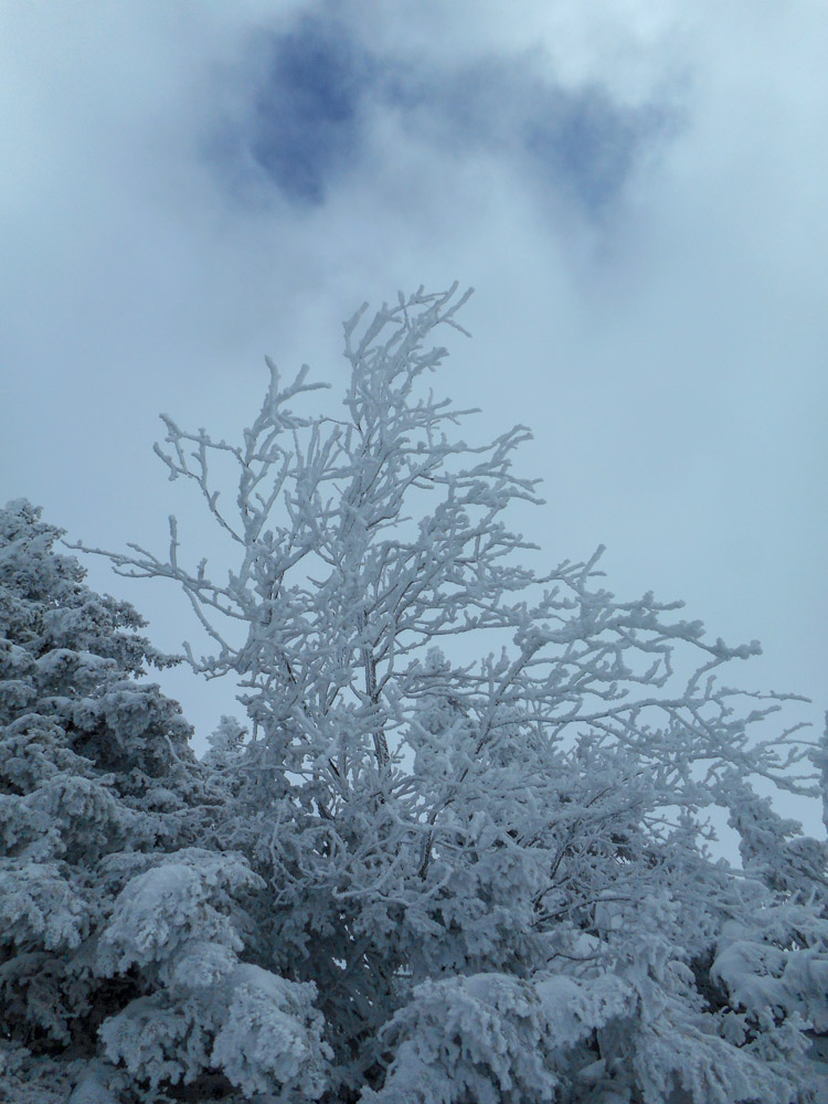 20180210 NF_Skifreizeit_Anke-4.jpg