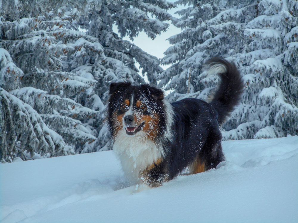 20180210 NF_Skifreizeit_Anke-9.jpg