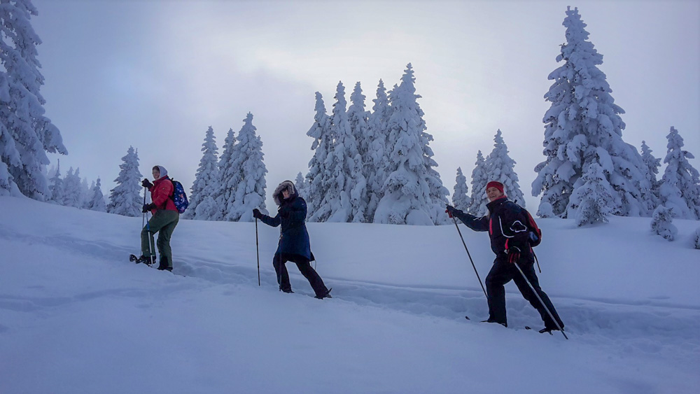 20180210 NF_Skifreizeit_Anke-19.jpg