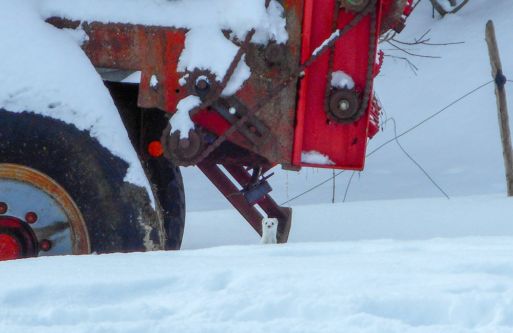 20180210 NF_Skifreizeit_Anke-33.jpg