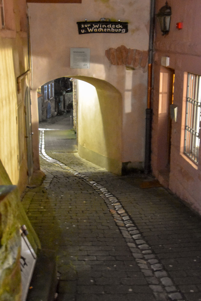 DSC_0481.jpg