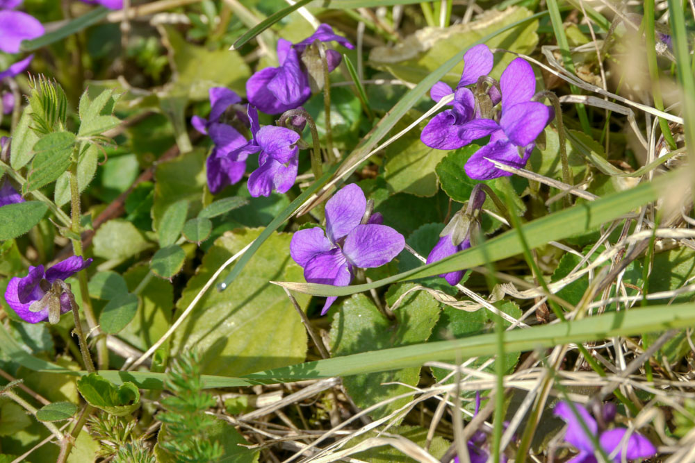 20180331 Erste Einkehr_Anke-8.jpg