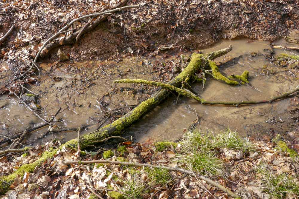 20180331 Erste Einkehr_Anke-31.jpg