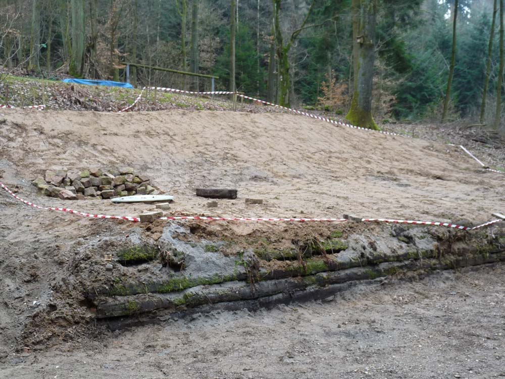 20180317 Arbeitseinsatz_Sabine-39.jpg