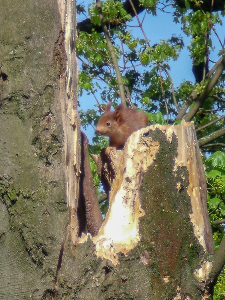 20180414 Friedrich-Ebert-Gedenkst._Christl-2.jpg