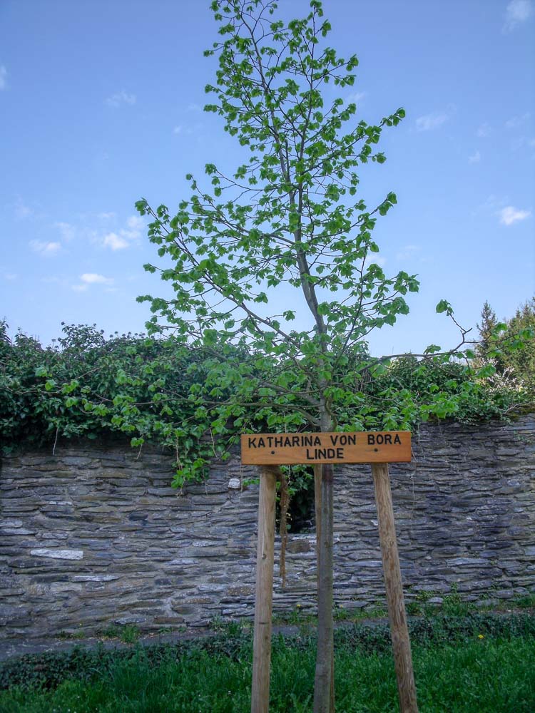 20180421 NF Hunsrück_Christl-2.jpg