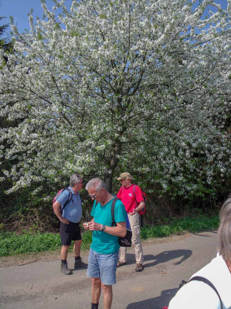 20180421 NF Hunsrück_Christl-5.jpg