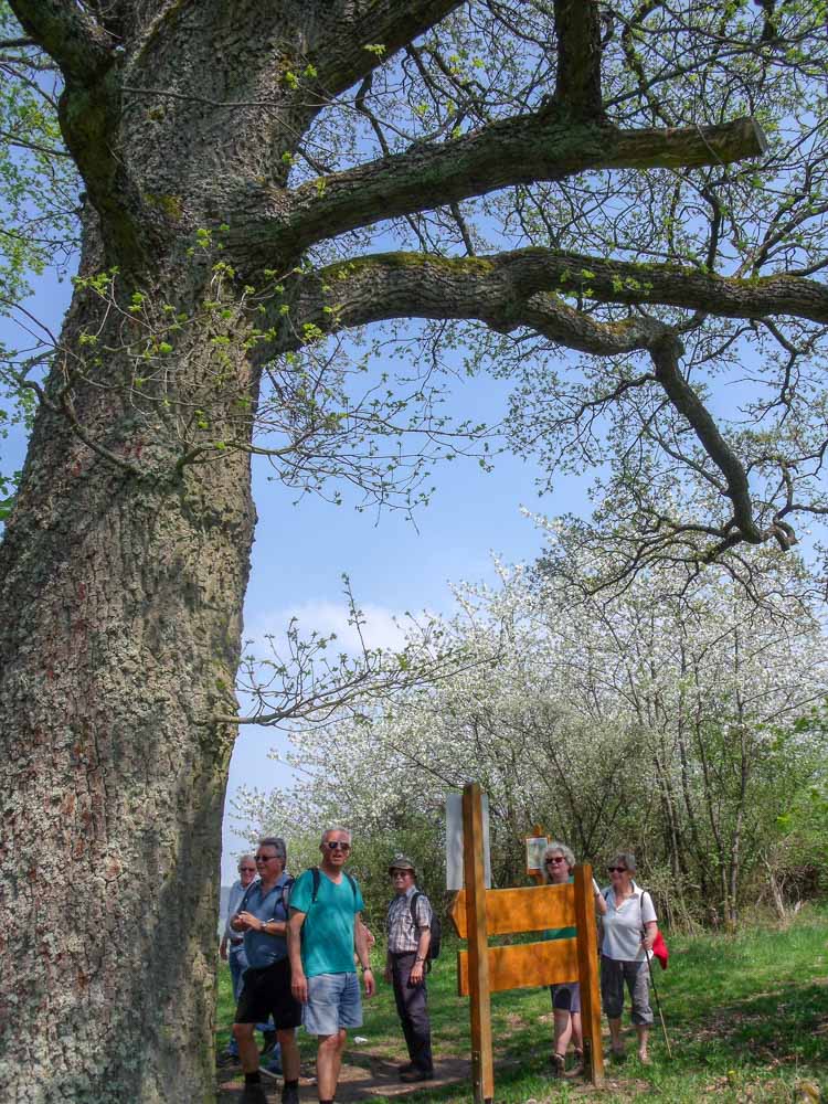 20180421 NF Hunsrück_Christl-10.jpg