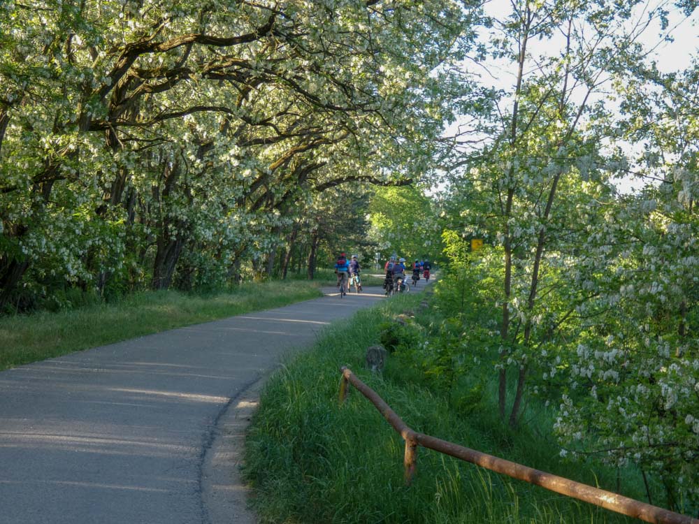 201805 NF_Radtour Tschechien_Johannes-56.jpg