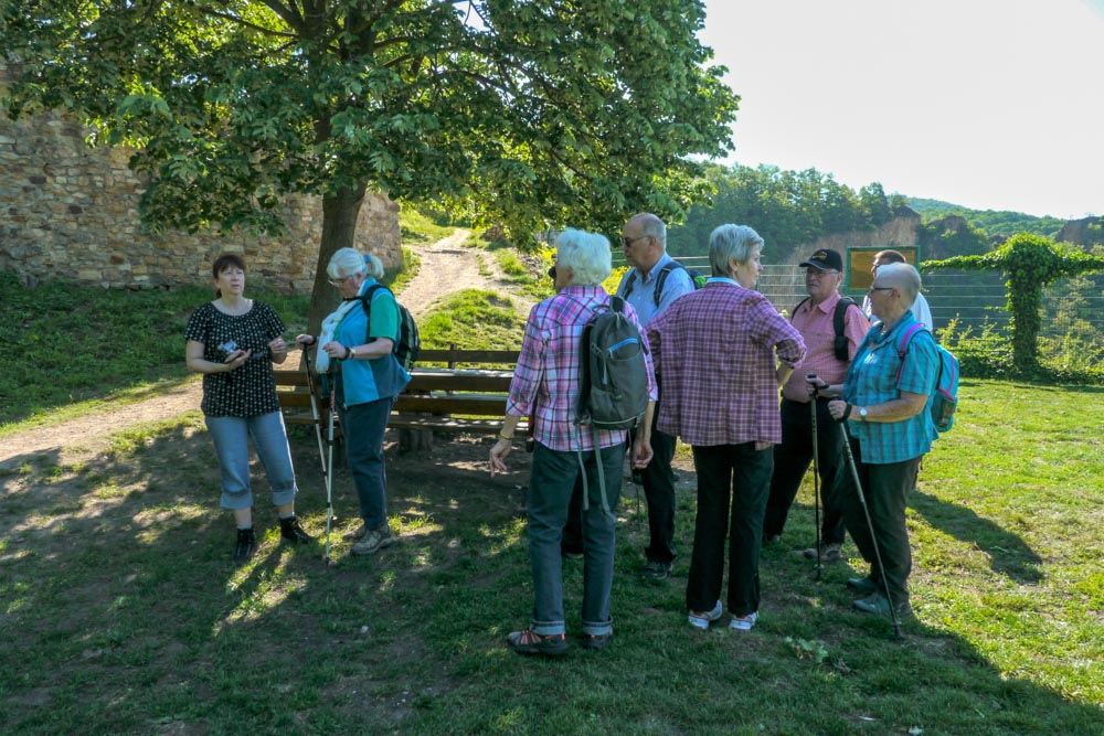 20180506 NF_Wanderung PWV_Anke-16.jpg