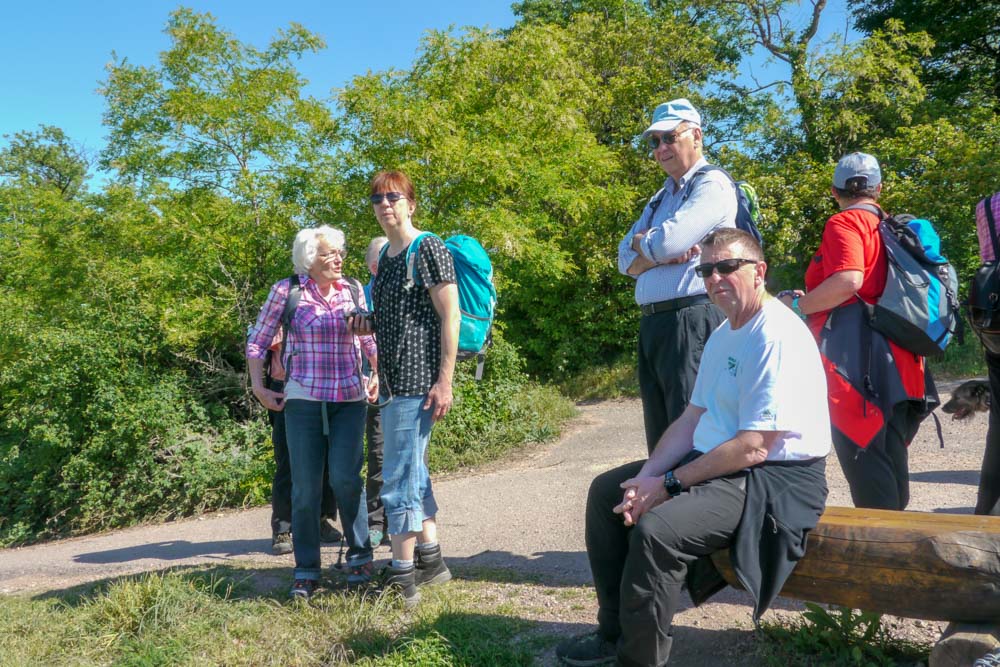 20180506 NF_Wanderung PWV_Anke-24.jpg