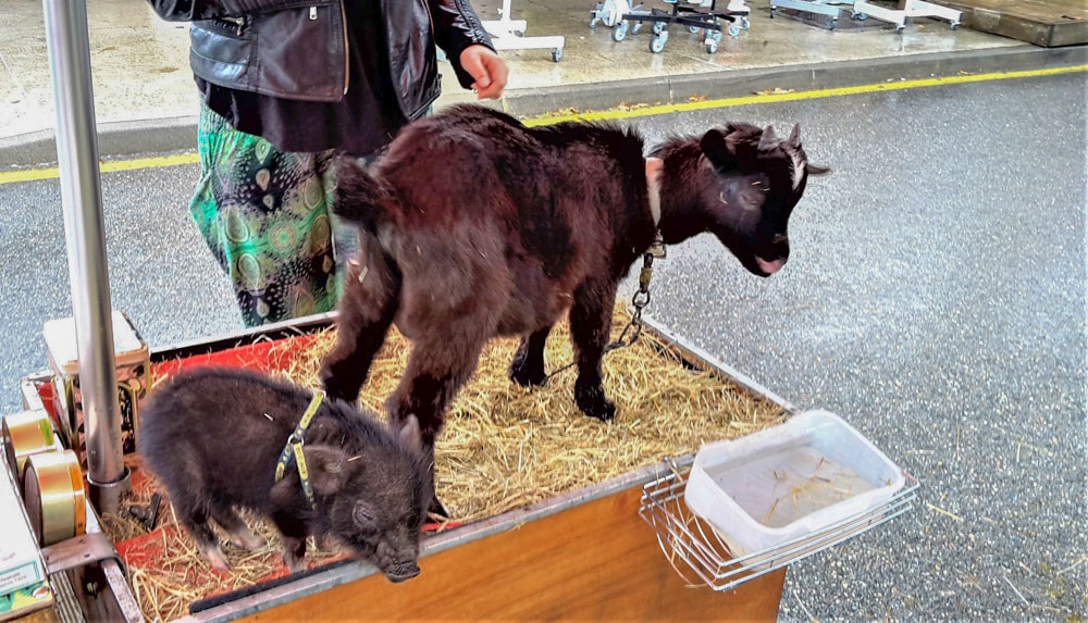 20180525 NF_Ardèche_Anke-63.jpg