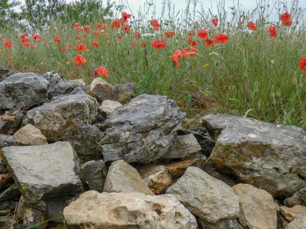 20180525 NF_Ardèche_Johannes-40.jpg