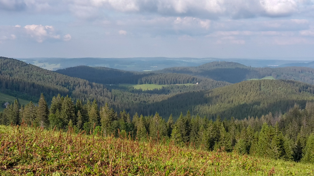 20180615 NF-Feldberg_Anke-129.jpg
