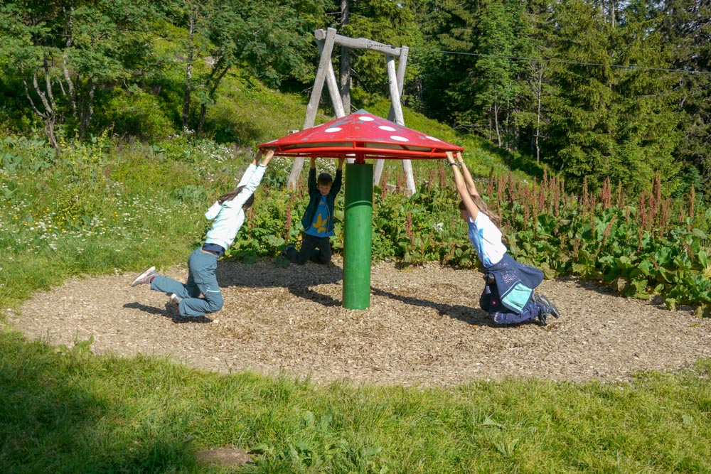 20180615 NF-Feldberg_Anke-146.jpg