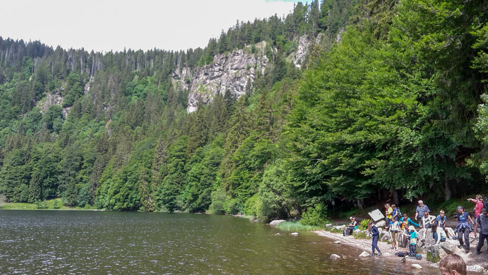 20180615 NF-Feldberg_Anke-192.jpg