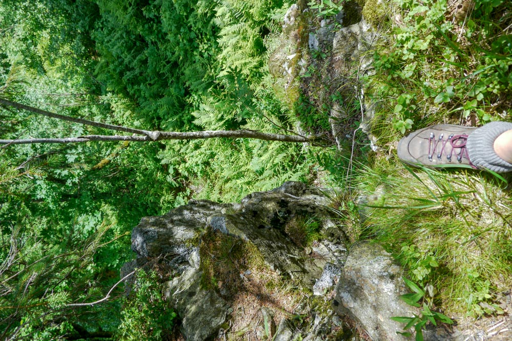 20180615 NF-Feldberg_Anke-193.jpg