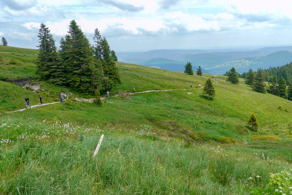 20180615 NF-Feldberg_Anke-211.jpg