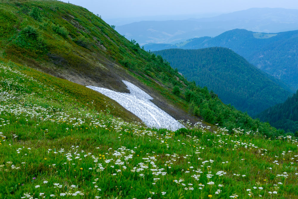 20180615 NF-Feldberg_Anke-224.jpg