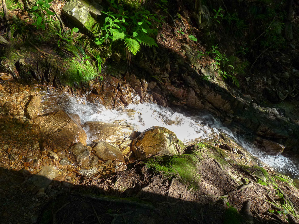 20180615 NF-Feldberg_Sabine-201.jpg