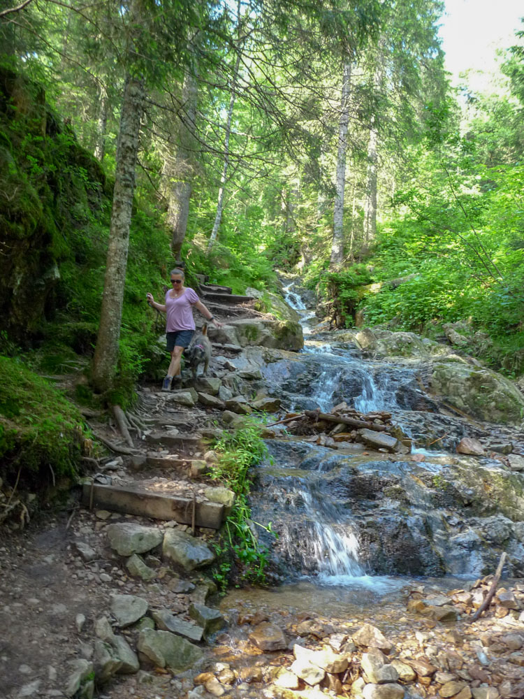 20180615 NF-Feldberg_Sabine-211.jpg