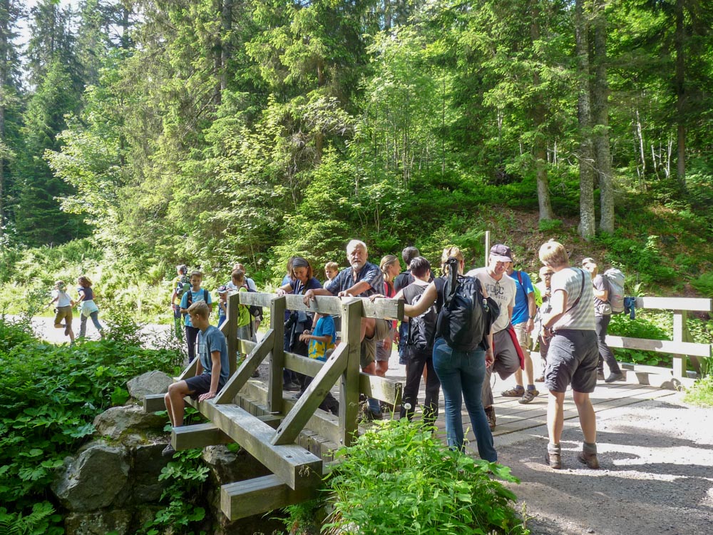 20180615 NF-Feldberg_Sabine-213.jpg