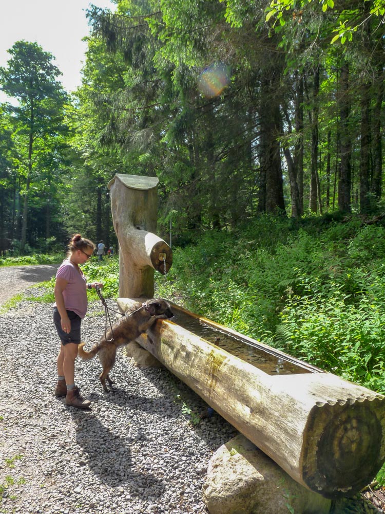 20180615 NF-Feldberg_Sabine-221.jpg