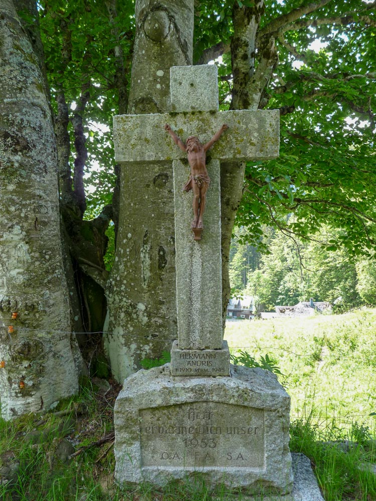 20180615 NF-Feldberg_Sabine-233.jpg