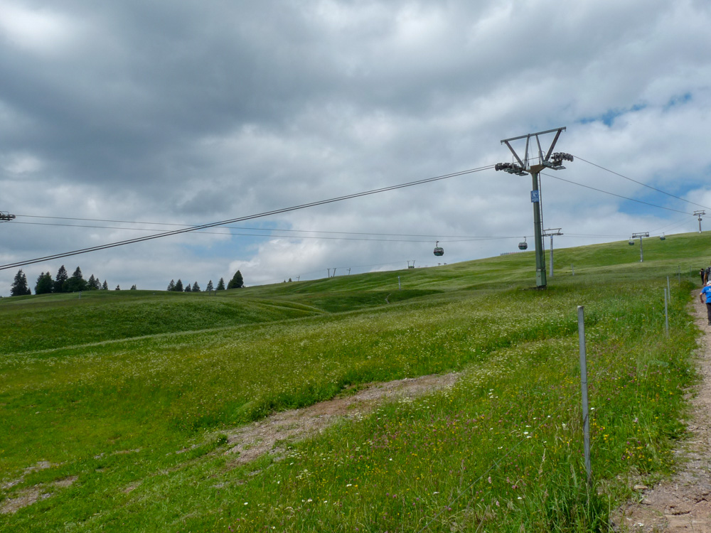20180615 NF-Feldberg_Sabine-259.jpg