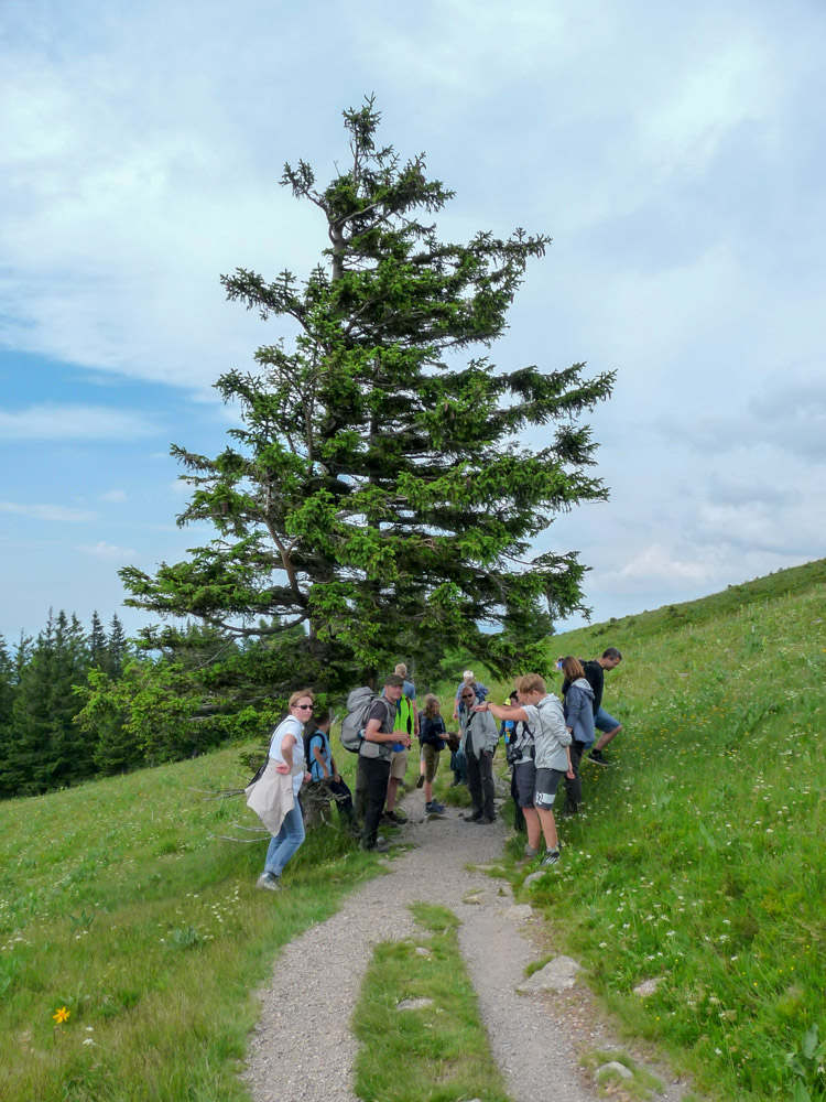 20180615 NF-Feldberg_Sabine-342.jpg
